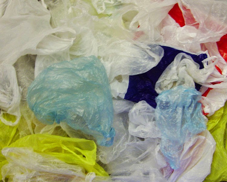 Disadvantage of plastic bags essay